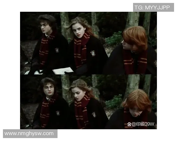 探索哈利波特电影全集带你领略魔法世界的奇幻冒险之旅 探索哈利波特电影全集带你领略魔法世界的奇幻冒险之旅