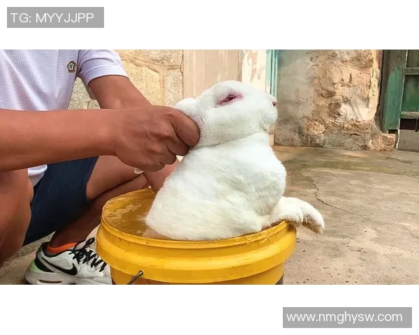 PETER布隆巧妙闪现卖身CUZZ猴子一击致命成功击杀兔子 PETER布隆巧妙闪现卖身CUZZ猴子一击致命成功击杀兔子